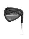 Wilson Infinite Wedges