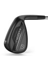 Wilson Infinite Wedges