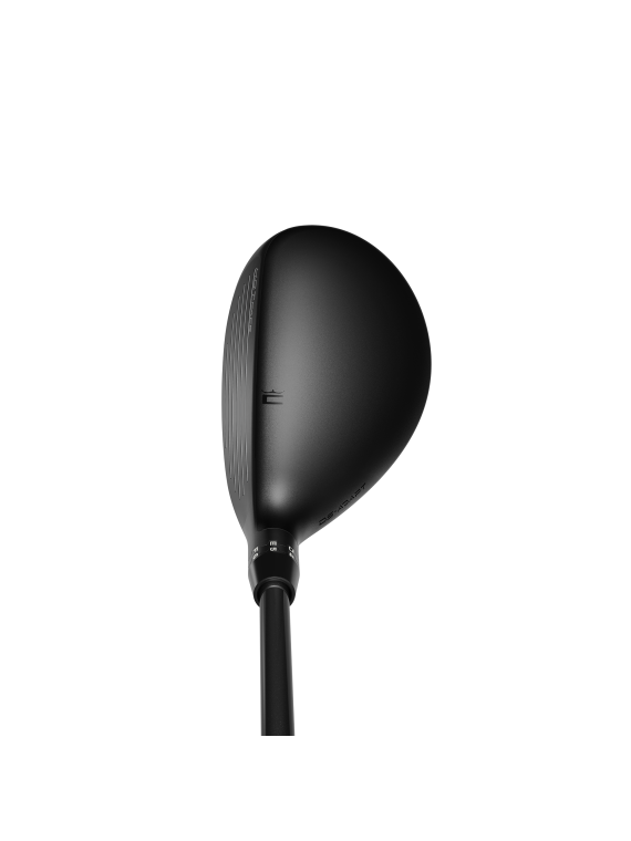 DEMO Cobra DS-Adapt Hybrid, Herre