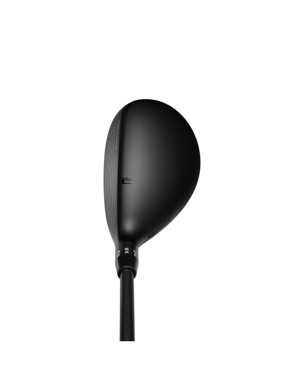 DEMO Cobra DS-Adapt Hybrid, Herre