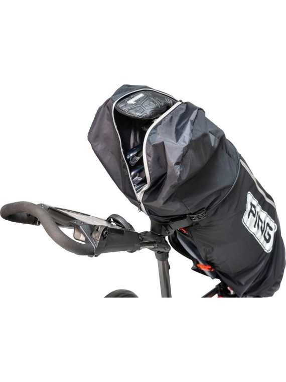 Ping Regn Cover