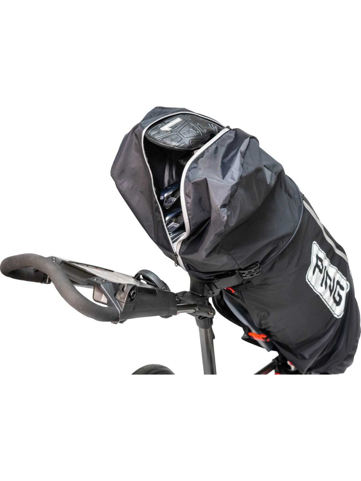 Ping Regn Cover