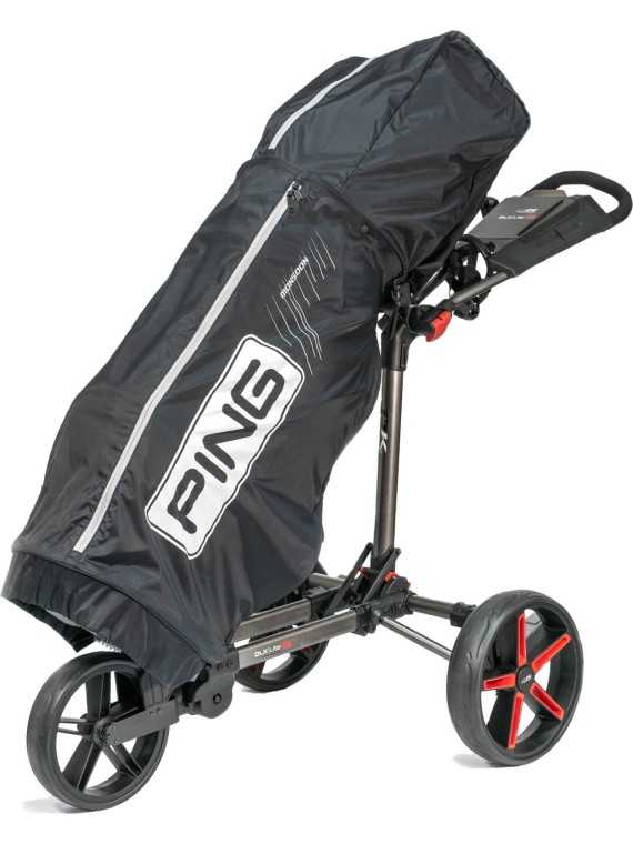 Ping Regn Cover