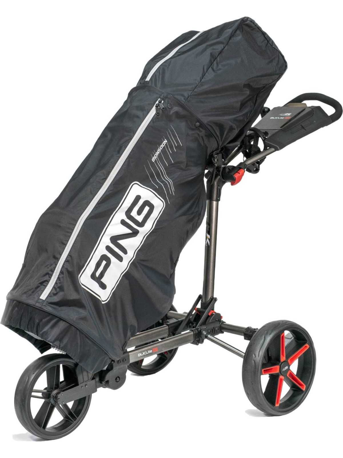 Ping Regn Cover