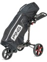 Ping Regn Cover
