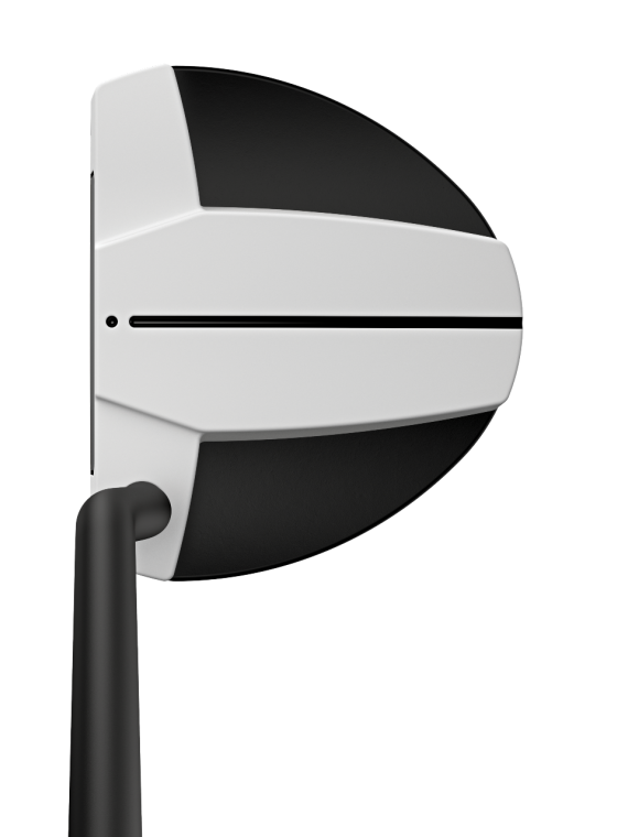 Ping Scottdale Tec Hayden Putter